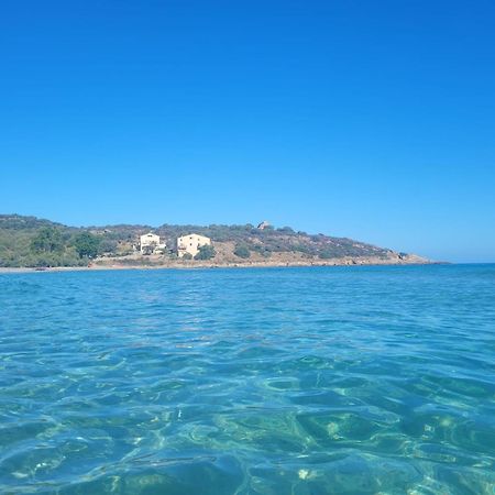 Charmant Petit Logement A 3 Kms De La Plage Belgodère Zewnętrze zdjęcie