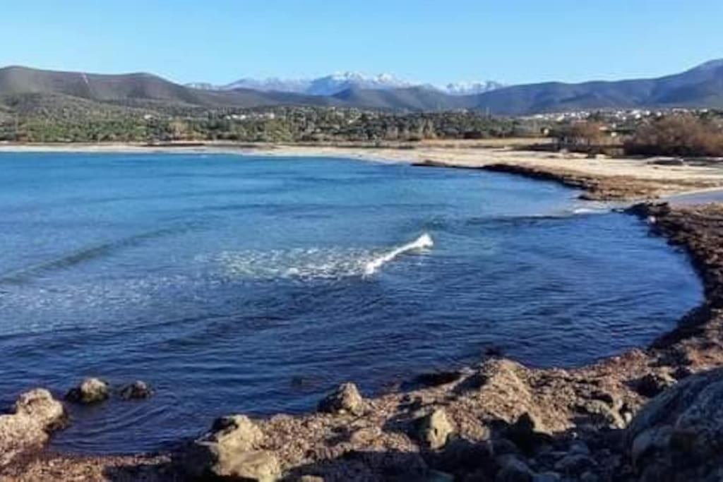 Charmant Petit Logement A 3 Kms De La Plage Belgodère Zewnętrze zdjęcie